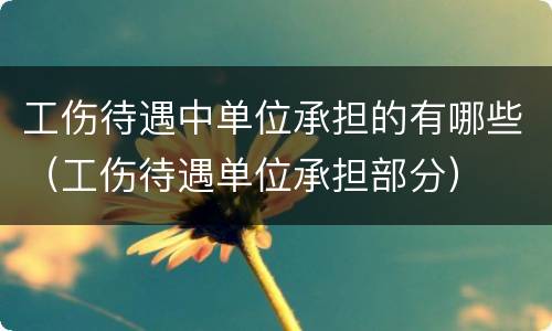 工伤待遇中单位承担的有哪些（工伤待遇单位承担部分）