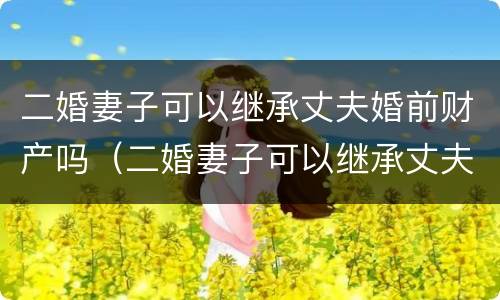 二婚妻子可以继承丈夫婚前财产吗（二婚妻子可以继承丈夫婚前财产吗视频）