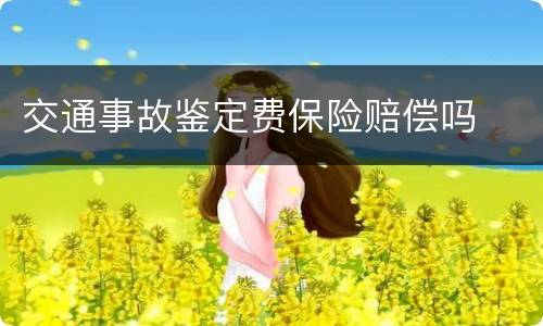 交通事故鉴定费保险赔偿吗