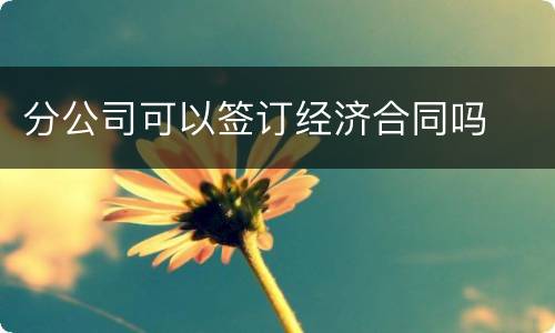 分公司可以签订经济合同吗