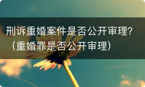 刑诉重婚案件是否公开审理？（重婚罪是否公开审理）