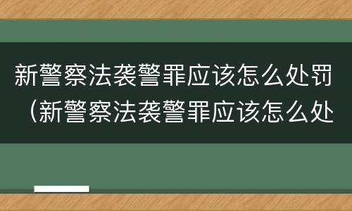 新警察法袭警罪应该怎么处罚（新警察法袭警罪应该怎么处罚他）