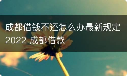 成都借钱不还怎么办最新规定2022 成都借款