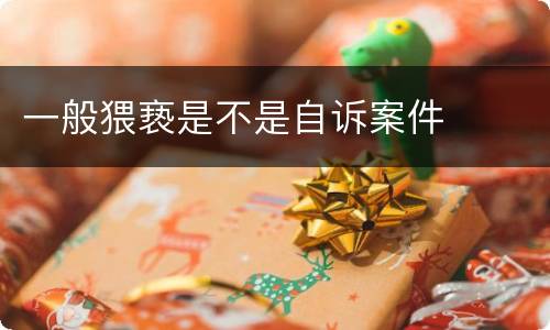 一般猥亵是不是自诉案件