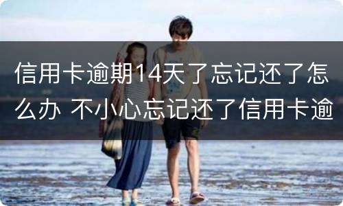 信用卡逾期14天了忘记还了怎么办 不小心忘记还了信用卡逾期4天怎么办