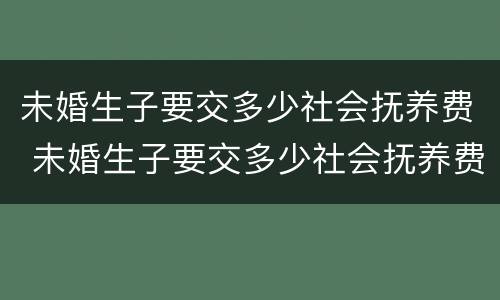 未婚生子要交多少社会抚养费 未婚生子要交多少社会抚养费给女方