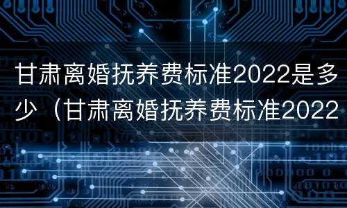 甘肃离婚抚养费标准2022是多少（甘肃离婚抚养费标准2022是多少岁）