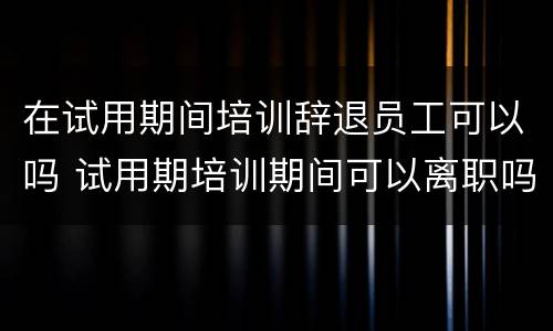 在试用期间培训辞退员工可以吗 试用期培训期间可以离职吗