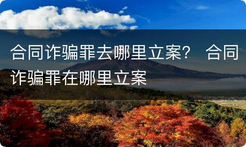 合同诈骗罪去哪里立案？ 合同诈骗罪在哪里立案