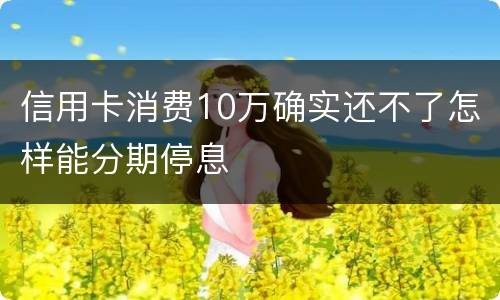 信用卡消费10万确实还不了怎样能分期停息