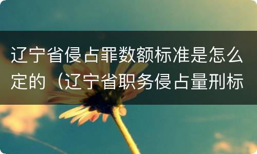辽宁省侵占罪数额标准是怎么定的（辽宁省职务侵占量刑标准金额）