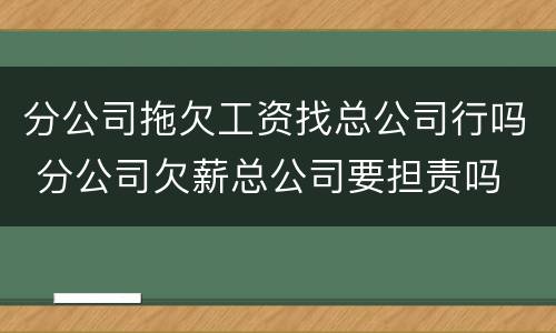 分公司拖欠工资找总公司行吗 分公司欠薪总公司要担责吗