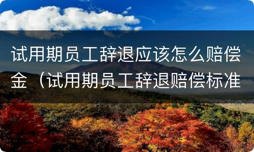 试用期员工辞退应该怎么赔偿金（试用期员工辞退赔偿标准）
