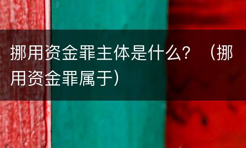 挪用资金罪主体是什么？（挪用资金罪属于）
