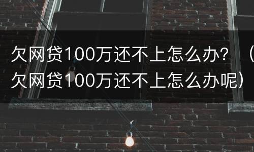 欠网贷100万还不上怎么办？（欠网贷100万还不上怎么办呢）
