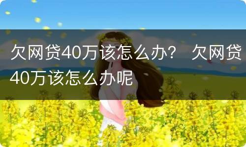 欠网贷40万该怎么办？ 欠网贷40万该怎么办呢