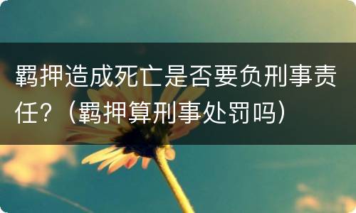 羁押造成死亡是否要负刑事责任?（羁押算刑事处罚吗）