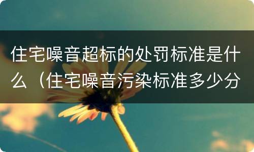 住宅噪音超标的处罚标准是什么（住宅噪音污染标准多少分贝）