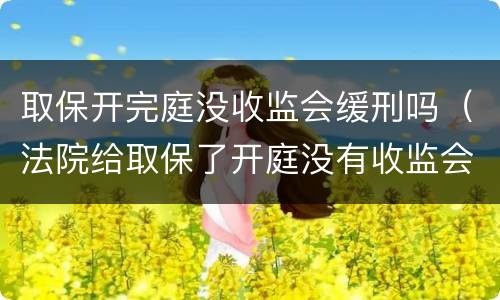 取保开完庭没收监会缓刑吗（法院给取保了开庭没有收监会判缓吗）