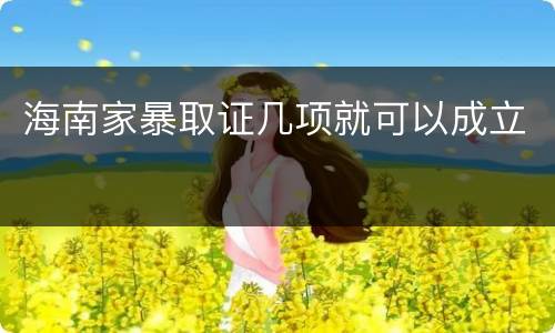 海南家暴取证几项就可以成立