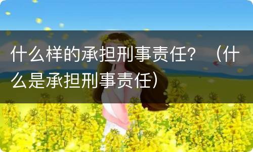 什么样的承担刑事责任？（什么是承担刑事责任）