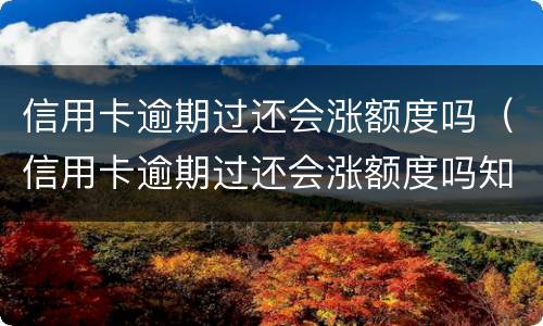 信用卡逾期过还会涨额度吗（信用卡逾期过还会涨额度吗知乎）