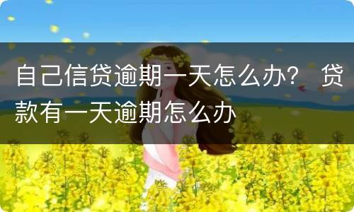 自己信贷逾期一天怎么办？ 贷款有一天逾期怎么办