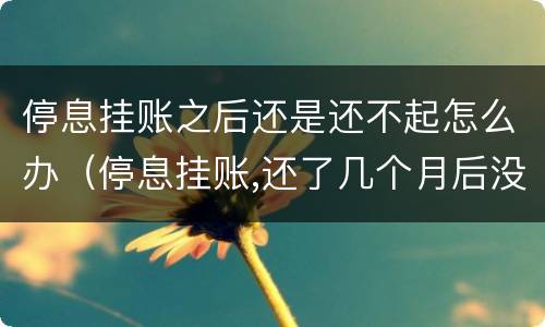 停息挂账之后还是还不起怎么办（停息挂账,还了几个月后没钱还了怎么办）