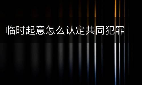 临时起意怎么认定共同犯罪
