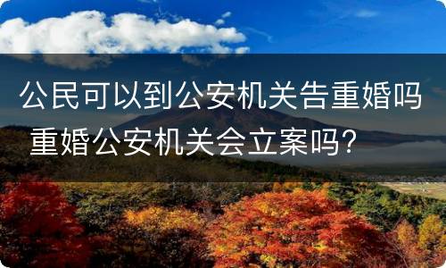 公民可以到公安机关告重婚吗 重婚公安机关会立案吗?