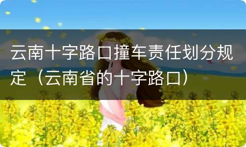云南十字路口撞车责任划分规定（云南省的十字路口）