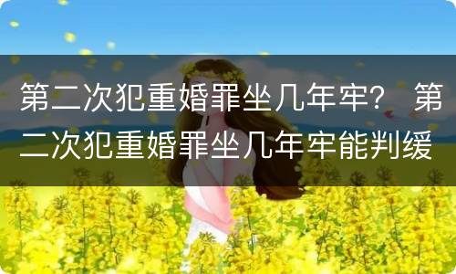 第二次犯重婚罪坐几年牢？ 第二次犯重婚罪坐几年牢能判缓刑