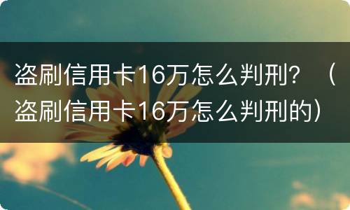 盗刷信用卡16万怎么判刑？（盗刷信用卡16万怎么判刑的）