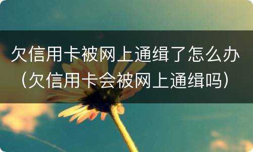 欠信用卡被网上通缉了怎么办（欠信用卡会被网上通缉吗）