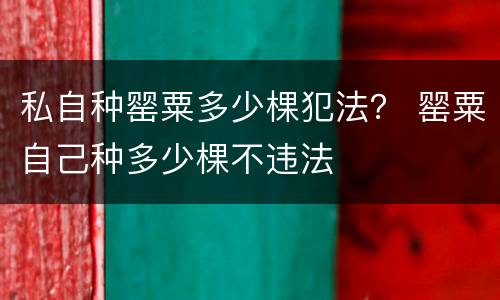 私自种罂粟多少棵犯法？ 罂粟自己种多少棵不违法
