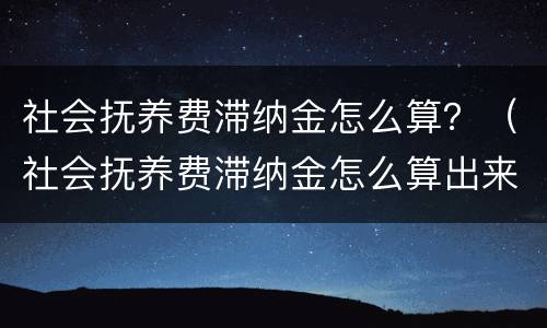 社会抚养费滞纳金怎么算？（社会抚养费滞纳金怎么算出来的）