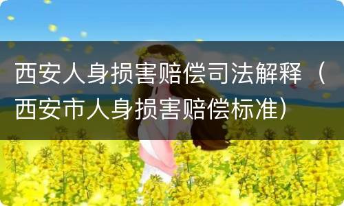 西安人身损害赔偿司法解释（西安市人身损害赔偿标准）
