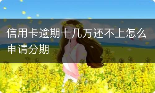 信用卡逾期十几万还不上怎么申请分期