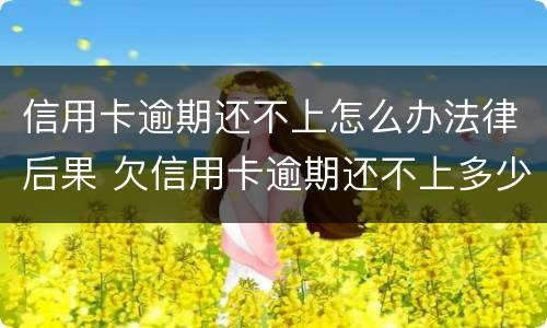 信用卡逾期还不上怎么办法律后果 欠信用卡逾期还不上多少就可以起诉了