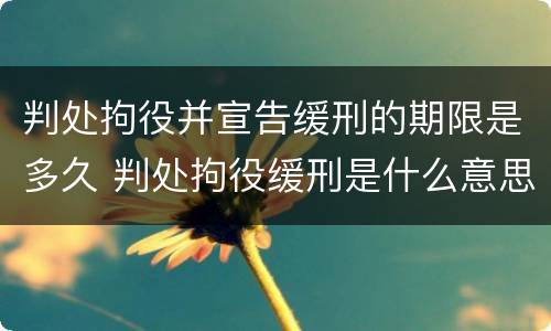 判处拘役并宣告缓刑的期限是多久 判处拘役缓刑是什么意思