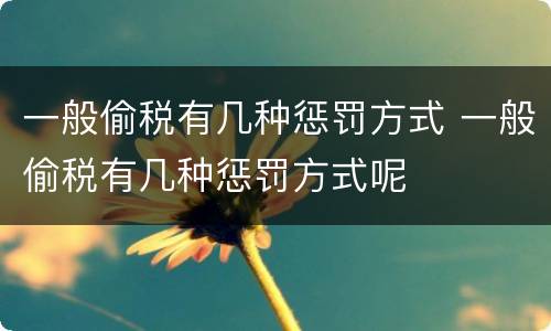 一般偷税有几种惩罚方式 一般偷税有几种惩罚方式呢