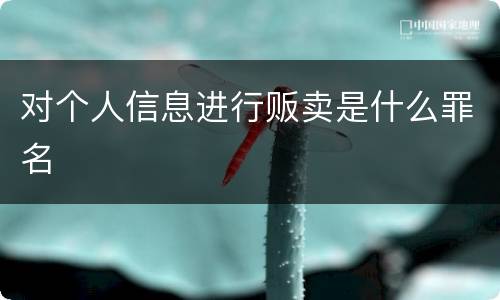 对个人信息进行贩卖是什么罪名