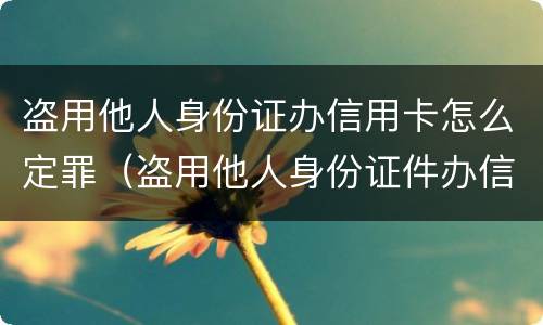盗用他人身份证办信用卡怎么定罪（盗用他人身份证件办信用卡）