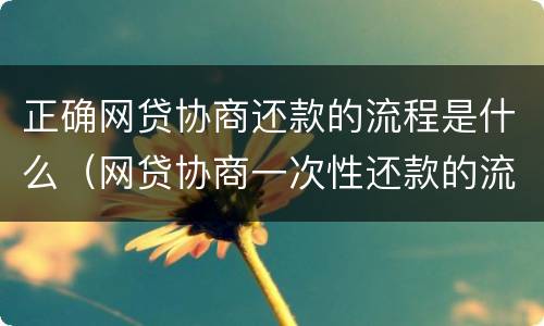 正确网贷协商还款的流程是什么（网贷协商一次性还款的流程）