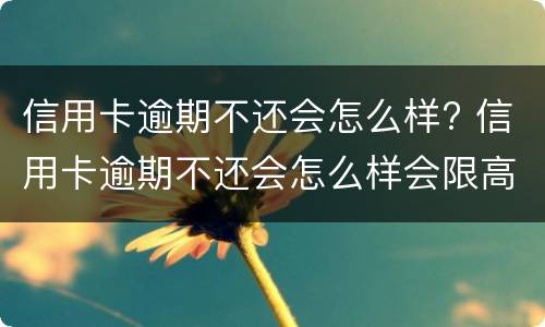 信用卡逾期不还会怎么样? 信用卡逾期不还会怎么样会限高吗?