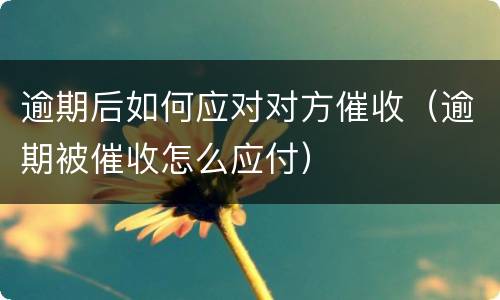 逾期后如何应对对方催收（逾期被催收怎么应付）
