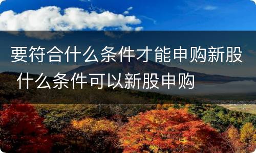 要符合什么条件才能申购新股 什么条件可以新股申购