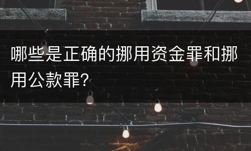 哪些是正确的挪用资金罪和挪用公款罪？
