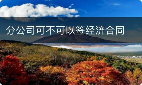 分公司可不可以签经济合同