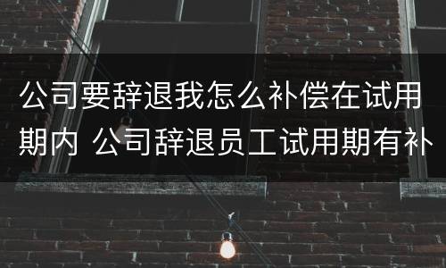 公司要辞退我怎么补偿在试用期内 公司辞退员工试用期有补偿吗